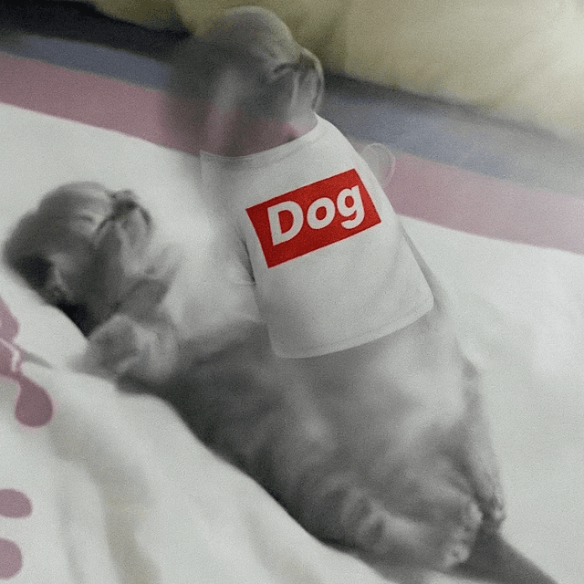 Aura cat with Dog tee